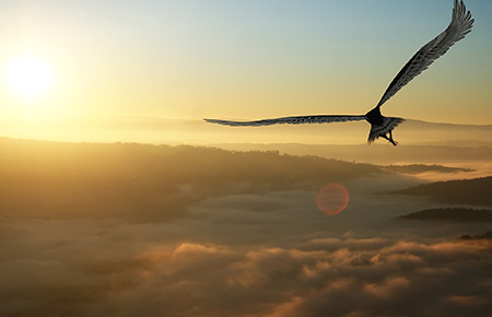 ����Ը��