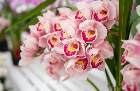 ������ޥ��