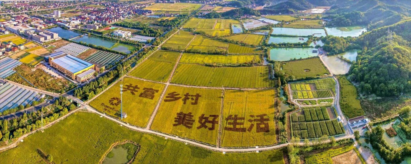 ���ʹ���(�й�)���޹�˾