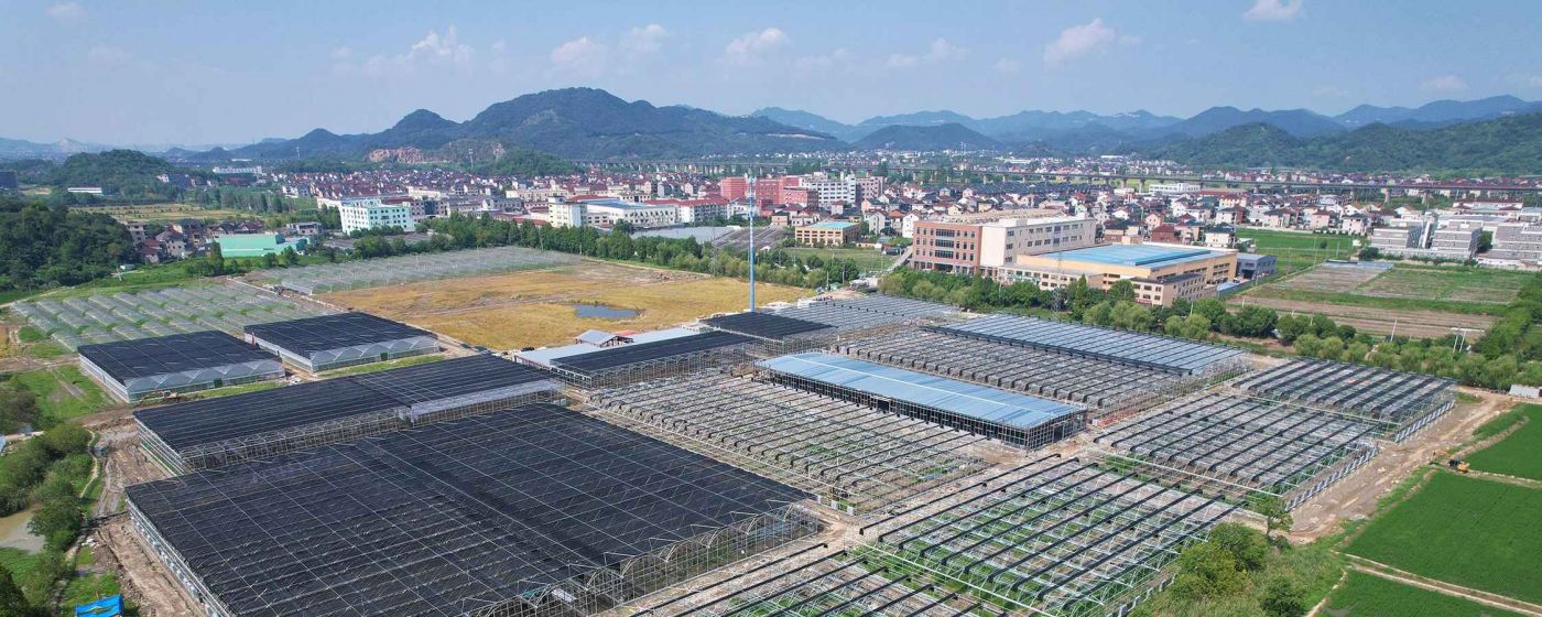 ���ʹ���(�й�)���޹�˾