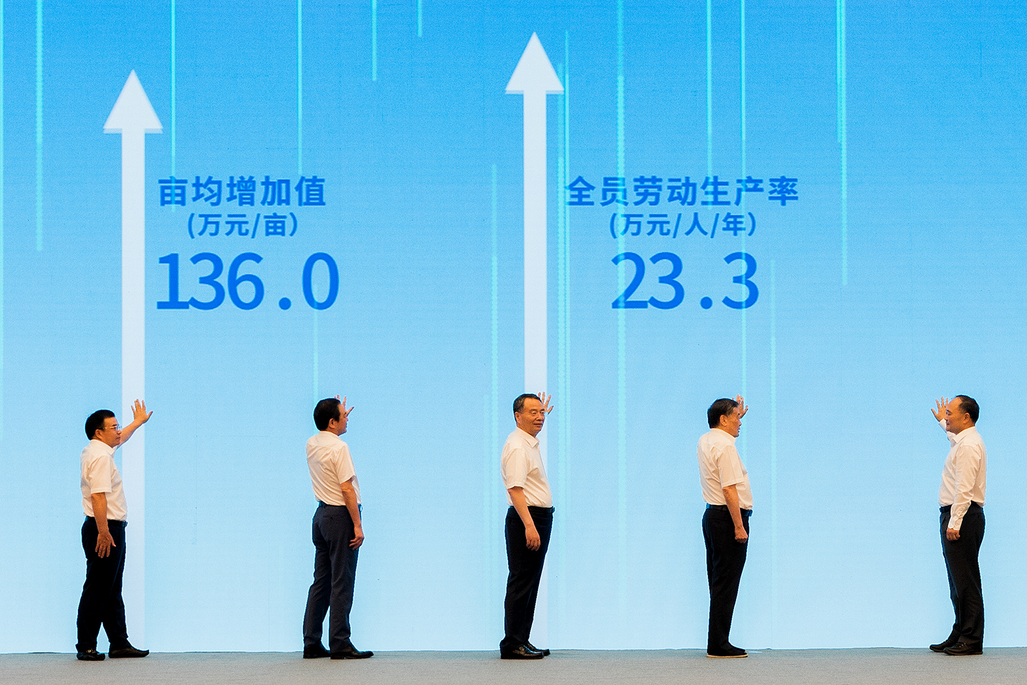 TF__0433 - ����.jpg