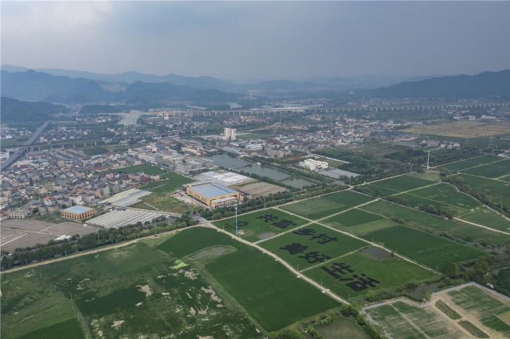 DJI_0316(1)_����.jpg